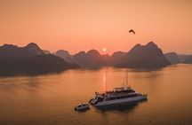 Full Day Group Tour in Halong