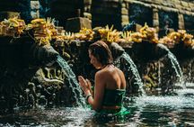 Full Day Best of Ubud Private Tour 