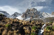 5 Days Mount Kenya Climbing Via Chogoria Sirimone Route