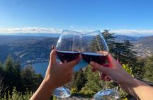 Exclusive wine tasting in Brunate
