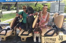 Golf Cart Tours of Bonaventure Cemetery Savannah Georgia