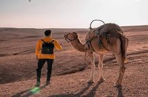 Sunset & Camel Ride & Dinner in Desert Agafay Marrakech 