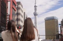 Tokyo Private Sightseeing Tour by Car- English speaking chauffeur