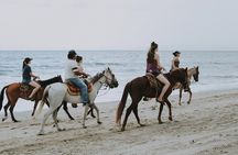 Hurghada: Sea & Desert Horseback Riding, Stargazing, Dinner, Show