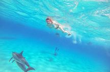 Full-Day Dolphin House from Hurghada