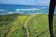 Private 45-Minute Helicopter Tour across Puerto Rico
