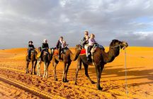 3 Days Desert Tour in Marrakech to Merzouga Dunes and Camel Trek