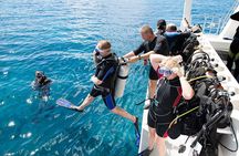 8 Hours Snorkeling with Lunch and Transfer in Sharm El-Sheikh