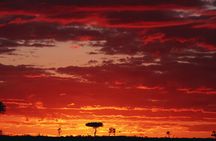 3 Days and 2 Nights Adventure in Masai Mara