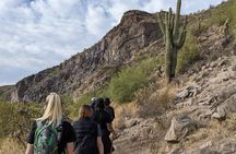 Guided Hike: Lime Kiln Desert Hike on the Lower Salt River