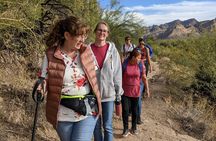 Guided Hike: Lime Kiln Desert Hike on the Lower Salt River