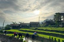 From Ha Noi: 3 Days and 2 Nights Sapa Trek with Local Guide