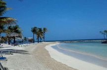 4 Hours Private Tour with Snorkel Experience in Roatan