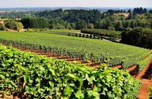 Full-Day Wine Tasting Tour in Athens with Visit to Cape Sounio