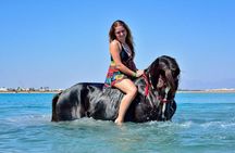 Desert & Sea on Horseback: 2-Hour Ride in Sharm El-Sheikh
