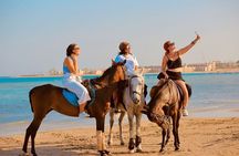 Desert & Sea on Horseback: 2-Hour Ride in Sharm El-Sheikh