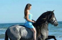 Desert & Sea on Horseback: 2-Hour Ride in Sharm El-Sheikh