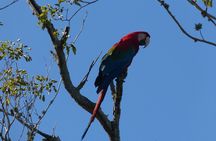 Connect with the nature of Iberá on a private tour