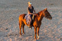 1-Hour Horse Ride Adventure in Sharm El-Sheikh