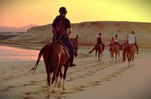 1-Hour Horse Ride Adventure in Sharm El-Sheikh