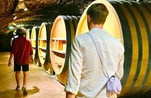 3 hours of Tour in the Wines of Châteauneuf-du-Pape