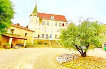 3 hours of Tour in the Wines of Châteauneuf-du-Pape