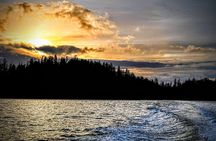 Sitka's Ultimate Wildlife Boat Tour