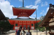 Mt. Koya Sacred 6hr Private Tour with Government Licensed Guide