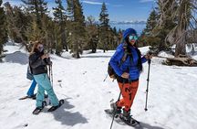 Chickadee Ridge Beginner Snowshoe Activity