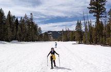 Chickadee Ridge Beginner Snowshoe Activity
