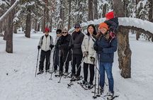 Chickadee Ridge Beginner Snowshoe Activity