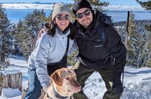 Chickadee Ridge Beginner Snowshoe Activity