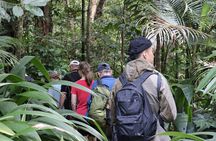 Cairns: Daintree & Cape Tribulation 2-Day Tour with Options