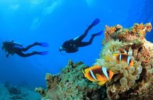 Diving Tour with Lunch 