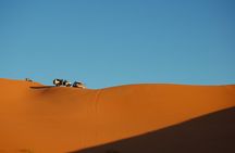 6 Hour Desert Safari Tour and BBQ Dinner from Dubai by RGT