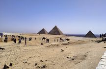 14 Days Egypt adventure Nile sahara desert bus tour 