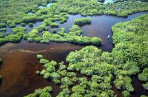 Everglades National Park Boat Tour