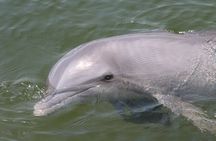 Everglades National Park Boat Tour