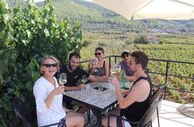 Private Korcula Eco Tour with Guide