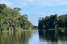 Small Group Tortuguero National Park Canoe Tour
