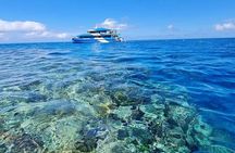Great Barrier Reef and MOUA Snorkeling Day Tour from Townsville