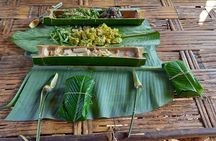 Camping and Cooking Classes in Primary Forest in Luang Prabang