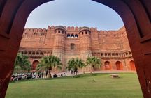 From Delhi: Sunrise Taj Mahal tour with Elephant Conservation