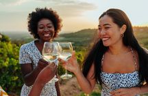 Vineyard Elegance: A Mendoza Wine Odyssey