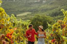 Vineyard Elegance: A Mendoza Wine Odyssey