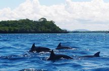 Mnemba Island + Natural Aquarium and Nungwi Beach