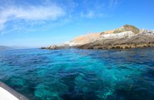 Penguins Watching-Navigation & HorseRide&Barbecue From VALPARAISO