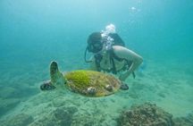 From Abu Dhabi: Try Diving experience and Snorkeling in Fujairah