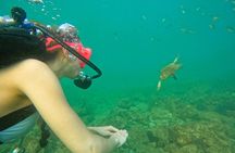 From Abu Dhabi: Try Diving experience and Snorkeling in Fujairah