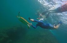 Snorkeling with turtles in Fujairah with Transfer & BBQ lunch